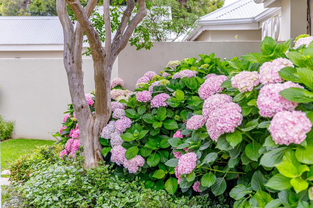 The Ashford Hotel Johannesburg Ngoại thất bức ảnh